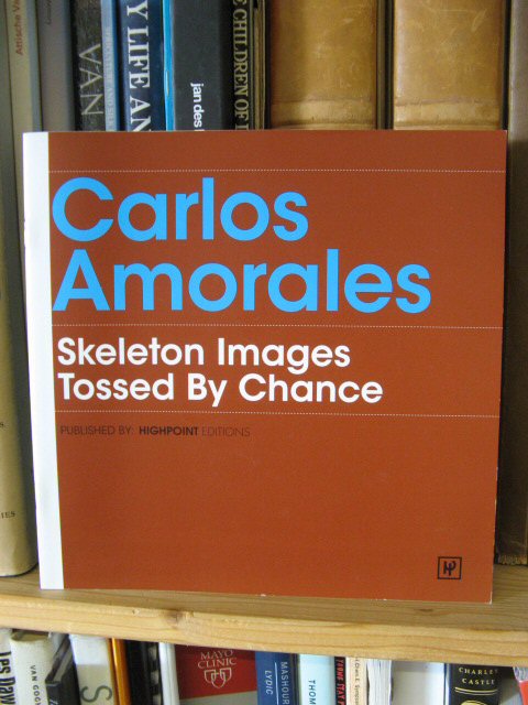 Skeleton Images Tossed By Chance