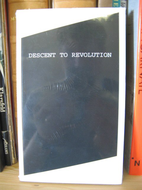 Descent to Revolution