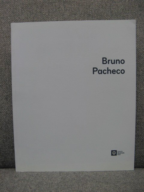 Bruno Pacheco: Galeria Quadrado Azul: Porto Marco, 2006
