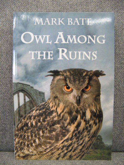 Owl among the Ruins