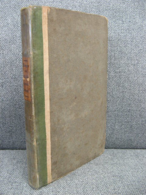 Essays on Gothic Architecture