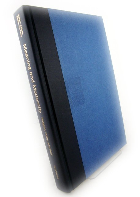 Meaning and Modernity: Religion, Polity, and Self