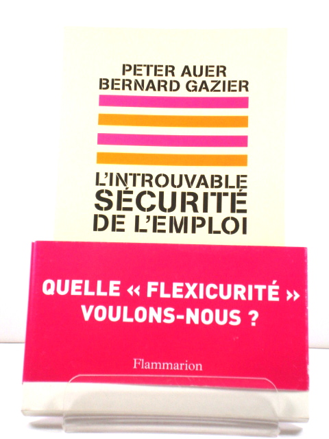 L'Introuvable Securite De L'Emploi