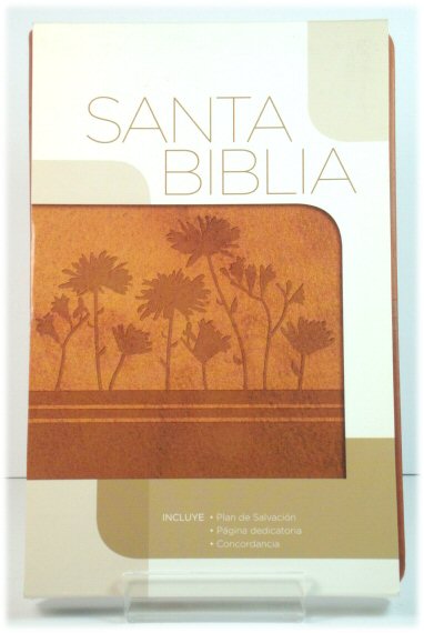 Santa Biblia