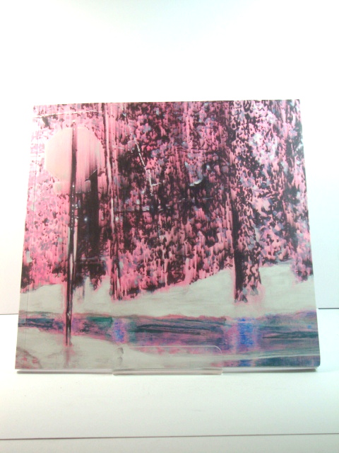 Ena Swansea: Recent Paintings