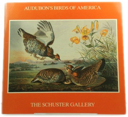 Audubon's Birds of America