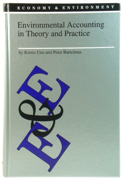 Environmental Accounting in Theory and Practice (Economy & Environment)