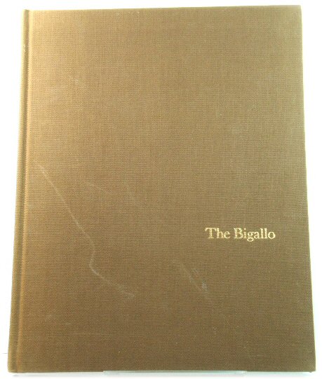 The Bigallo: The Oratory and Residence of the Compagnia Del Bigallo e Della Misericordia in Florence (Monographs on Archaeology and the Fine Arts)