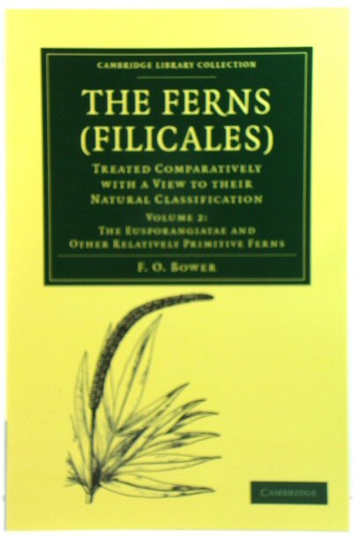 The Ferns (Filicales): Treated Comparatively with a View to their Natural Classification: Volume 2: The Eusporangiatae and Other Relatively Primitive Ferns