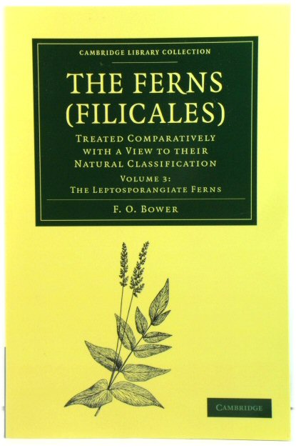 The Ferns (Filicales): Treated Comparatively with a View to their Natural Classification: Volume 3: The Leptosporangiate Ferns