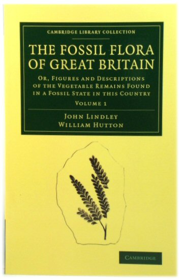 The Fossil Flora of Great Britain: Volume 1