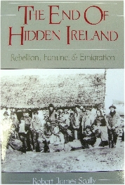The End of Hidden Ireland: Rebellion, Famine, and Emigration