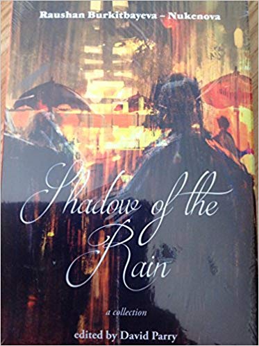 Shadows of the rain