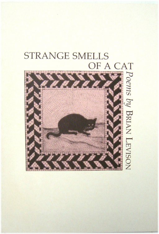 Strange Smells of a Cat: Poems By Brian Levison