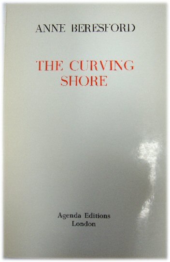 The Curving Shore