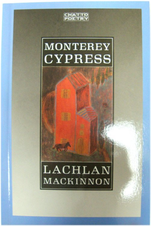 Monterey Cypress