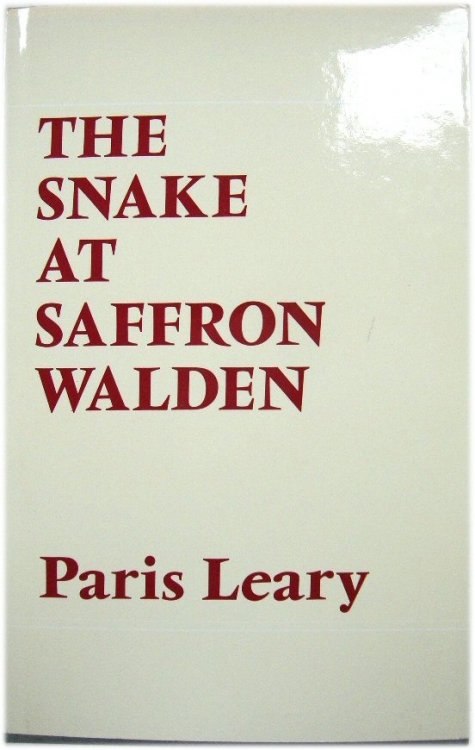The Snake at Saffron Walden