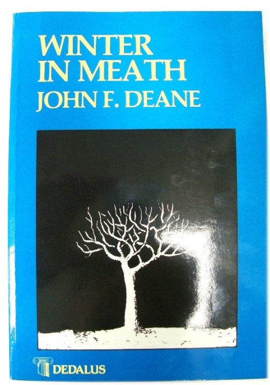Winter in Meath