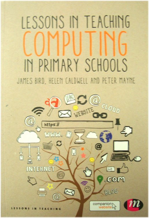 Lessons in Teaching Computing in Primary Schools
