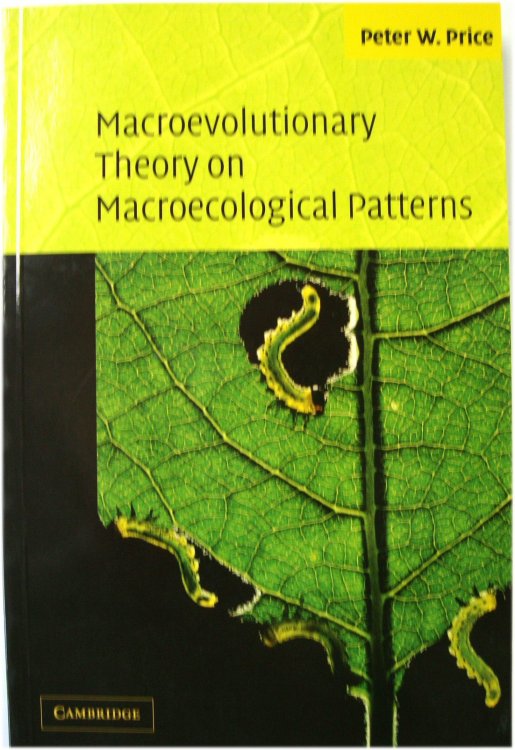 Macroevolutionary Theory on Macroecological Patterns
