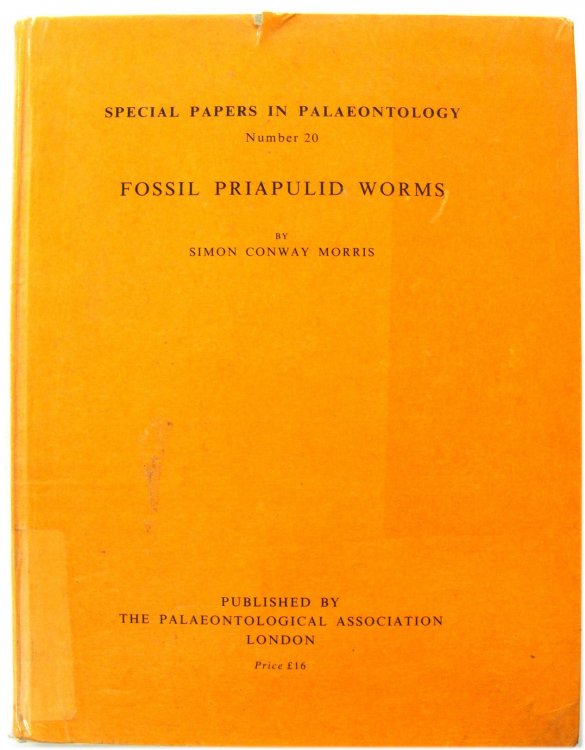 Fossil Priapulid Worms