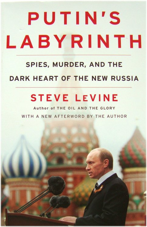 Putin's Labyrinth: Spies, Murder, and the Dark Heart of the New Russia