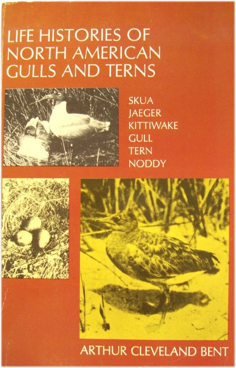 Life Histories of North American Gulls and Terns