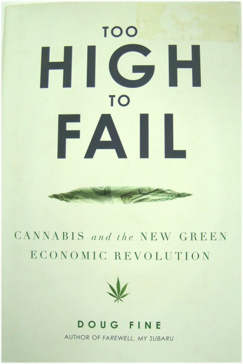 Too High to Fail