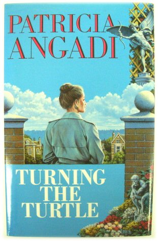 Turning the Turtle