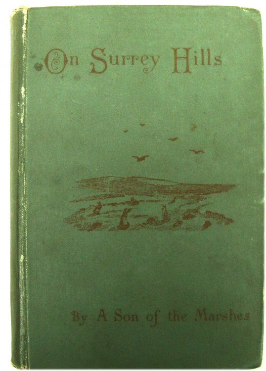 On Surrey Hills