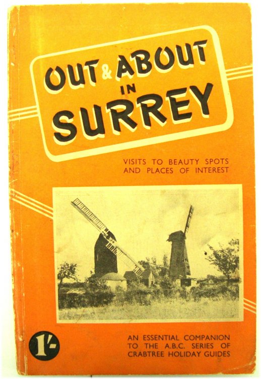 Out and About in Surrey: Visits to Beauty Spots and Places of Interest