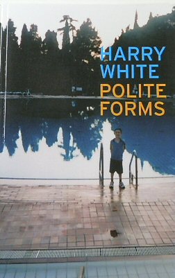 Polite Forms