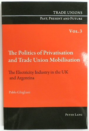 The Politics of Privatisation and Trade Union Mobilisation: The Electricity Industry in the UK and Argentina (Trade Unions Past, Present and Future, Volume 3)