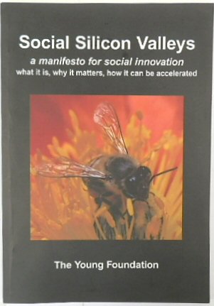 Social Silicon Valleys: A Manifesto for Social Innovation - What it is, Why it Matters, How it Can be Accelerated