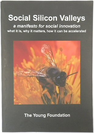 Social Silicon Valleys: A Manifesto for Social Innovation - What it is, Why it Matters, How it Can be Accelerated