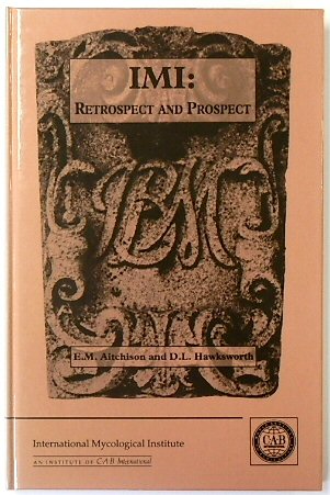 IMI: Retrospect and Prospect