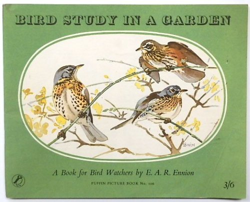 Bird Study in a Garden