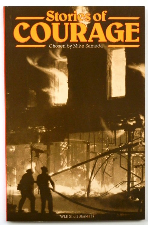 Stories of Courage: SLE Short Stories 17