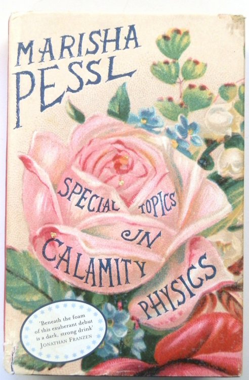 Special Topics in Calamity Physics