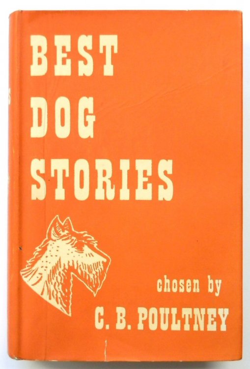 Best Dog Stories