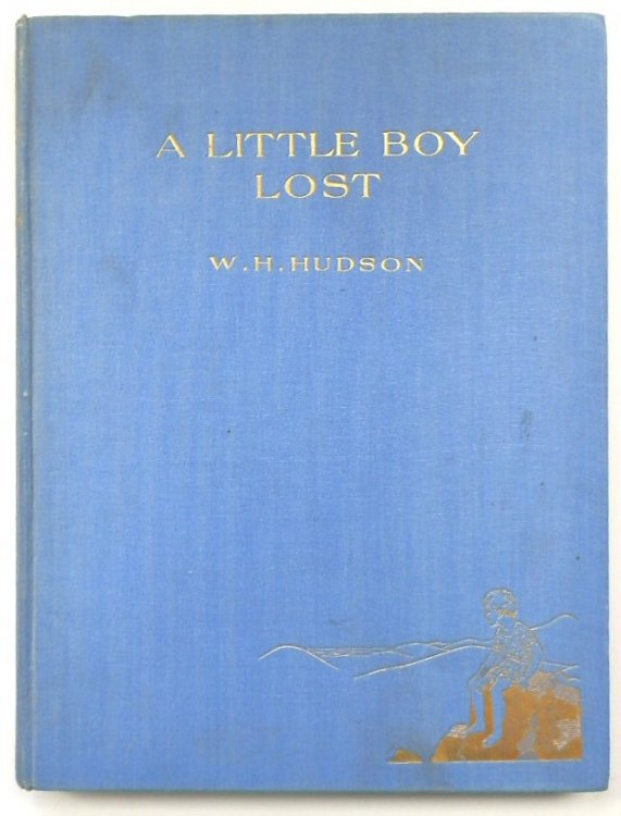 A Little Boy Lost