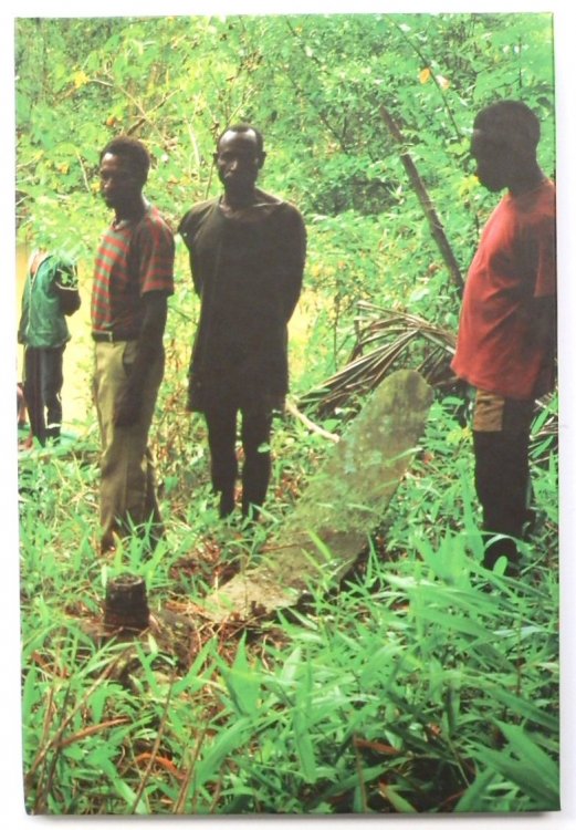 Roy Villevoye: Propeller