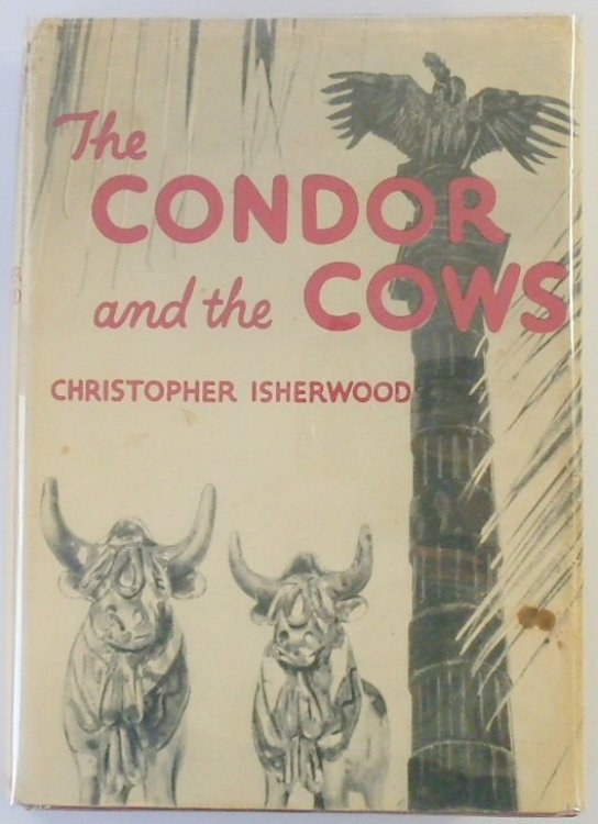 The Condor and The Cows