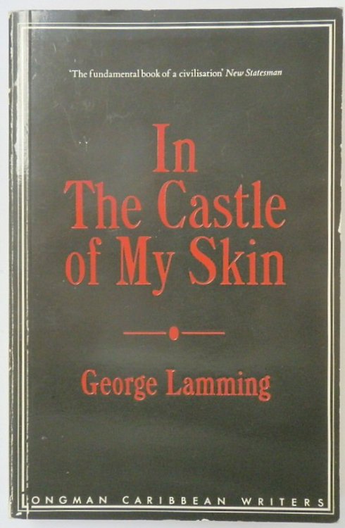 In The Castle of My Skin