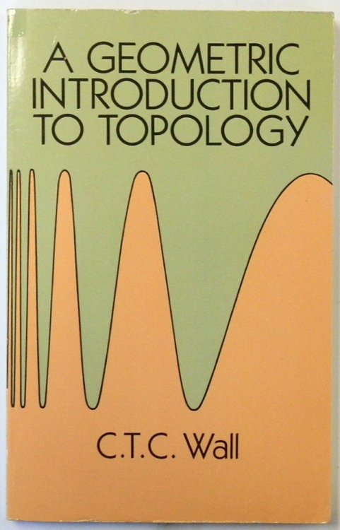 A Geometric Introduction to Topology