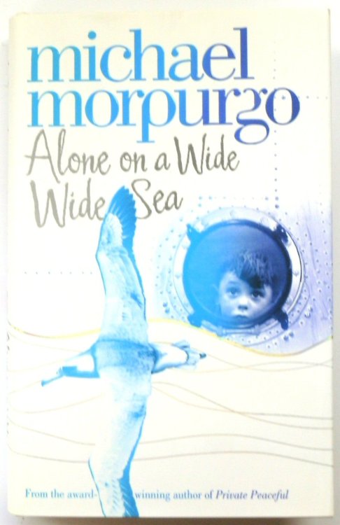 Alone on a Wide Wide Sea