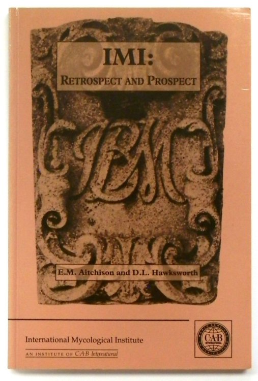 IMI: Retrospect and Prospect