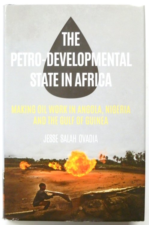 The Petro-Developmental State in Africa