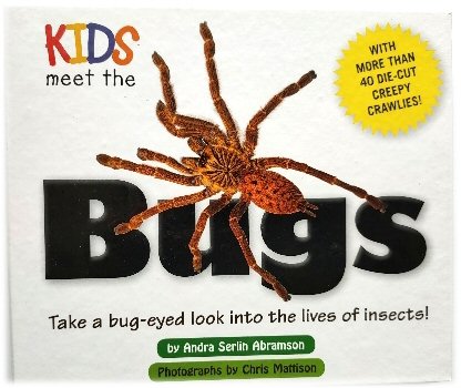 Kids Meet the Bugs