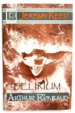 Delirium: An Interpretation of Arthur Rimbaud
